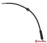 Remslang T68084