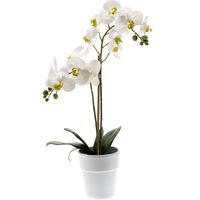 Witte orchidee kunstplant in kunststof pot 65 cm - Kunstplanten - thumbnail