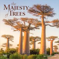 The Majesty of Trees Kalender 2026