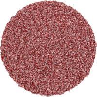 PFERD TOOLS CD 25 A 60 FORTE 42751306 Schuurblad Korrelgrootte (num) 60 (Ø) 25 mm 100 stuk(s)
