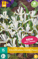 Iris Frozen Planet - Jub