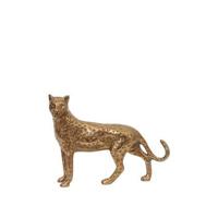 Sissy-Boy Goudkleurige leopard