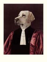Kunstdruk Thierry Poncelet - The Advocate 66x86cm