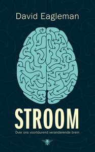 Stroom - David Eagleman - ebook
