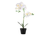 LIVARNO home Kunstplant (Orchidee) LIVARNO home Kunstplant (Orchidee)