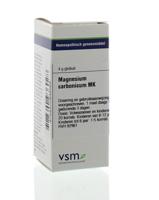 VSM Magnesium carbonicum MK 4 Gram