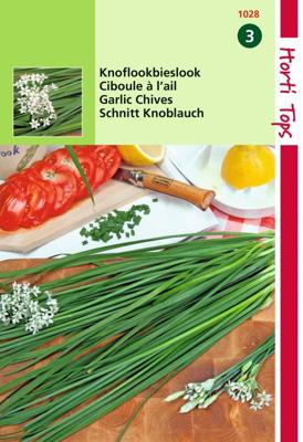 Chinese Knoflook Bieslook - Hortitops