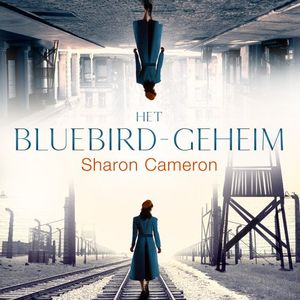 Het Bluebird geheim