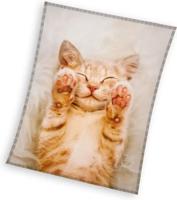 Fleece deken dromerige kat 130 x 170 cm