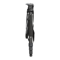 Gitzo Gitzo GM5541 6X Carbon Monopod