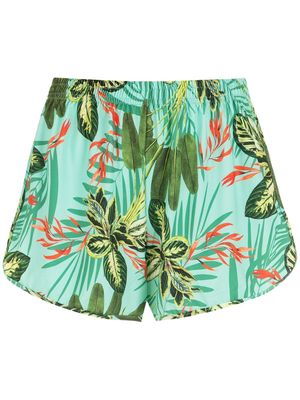 Lygia & Nanny short Lee à imprimé tropical - Vert