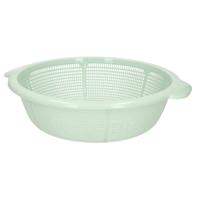 Plasticforte Vergiet - mintgroen - 31 x 9,5 cm - keukenvergiet