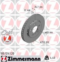 Remschijf Coat Z 100124120