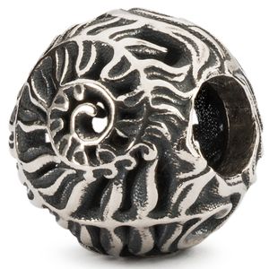 Trollbeads TAGBE-30170 Kraal Varen zilver