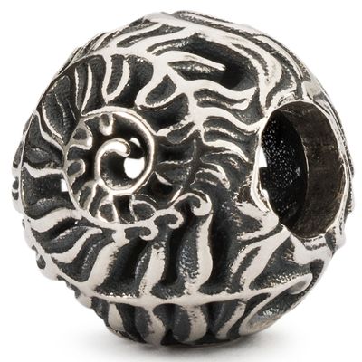 Trollbeads TAGBE-30170 Kraal Varen zilver