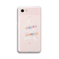 Right Place: Google Pixel 3 XL Transparant Hoesje