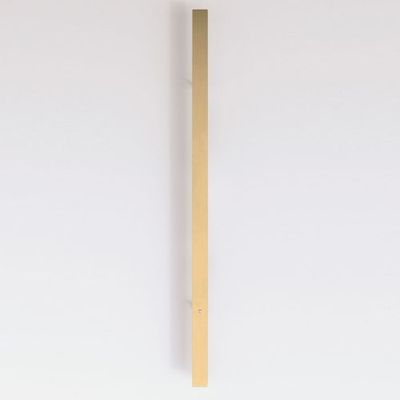 Anour Divar Wandlamp - 150 cm - Geborsteld messing