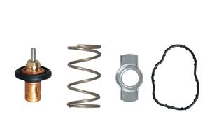 Thermostaat, koelvloeistof TH51883G1