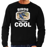 Sweater birds are serious cool zwart heren - vogels/ raaf trui 2XL  - - thumbnail