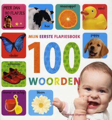 Mijn eerste flapjesboek 100 woorden (Hardback)