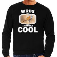 Dieren baardmannetje vogel sweater zwart heren - birds are cool trui