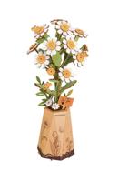 Chamomile Robotime - Robotime