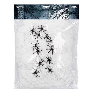 Spinrag met spinnen