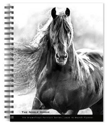 The Noble Horse Agenda 2026