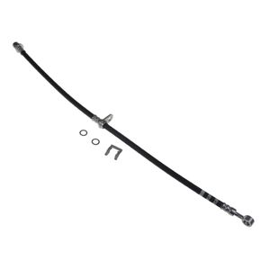 Remslang ADH253155