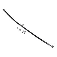 Remslang ADH253155
