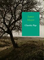 Chastity pigs - James Mayer - ebook - thumbnail