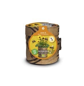 Baza seeds &amp; bees-flowers mini zonnebloem