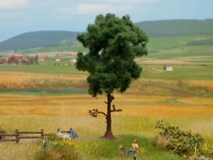 NOCH Pine Tree schaalmodel onderdeel en -accessoire Boom