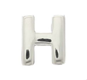 TFT Hanger Zilver Letter H