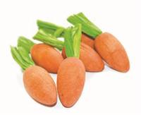 Critter&apos;s Choice Happy pet carrot nibblers knaaghout