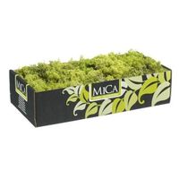 Decoratie/hobby mos lichtgroen 500 gram   -