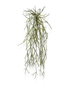 Rhipsalis Micrantha kunsthanger 55cm