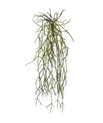 Rhipsalis Micrantha kunsthanger 55cm