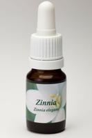 Zinnia 10 Milliliter