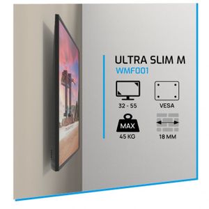 Cavus WMF001 vaste tv muurbeugel - voor 32-55 inch tv - max 45 kg - ultra slim M