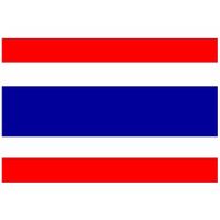 Vlag van Thailand mini formaat 60 x 90 cm   -