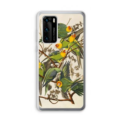 Carolinaparkiet: Huawei P40 Transparant Hoesje