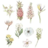 https://www.cchobby.nl/masking-tape-stickers-bloemen-afm-25-60-mm-30-stuk-1-doos