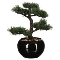Atmosphera bonsai boompje in keramische pot - 36 cm - pvc - groen - kunstplant   - - thumbnail