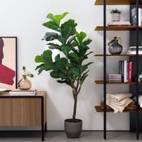 Kave Home Kunstplant 'Ficus'