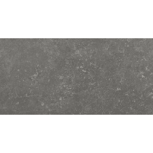 Emil Chateau EFL8 Vloertegel 400X800 Noir 9,5mm Mat Ret.R9,5