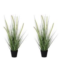 2x Groene Dogtail/siergras kunstplanten 53 cm in zwarte pot - thumbnail