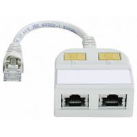 Telegärtner RJ45 Netwerk Y-adapter CAT 5e [2x RJ45-bus - 1x RJ45-stekker] 15.00 cm Wit