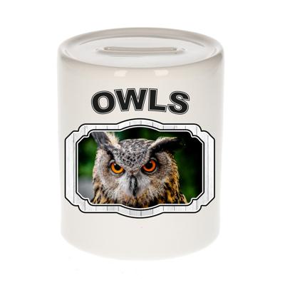 Dieren uil spaarpot - owls/ uilen spaarpotten kinderen 9 cm