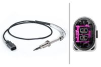 Sensor, uitlaatgastemperatuur 6PT014494441